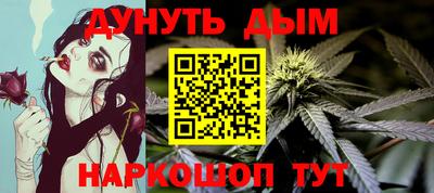 альфа пвп Новодвинск