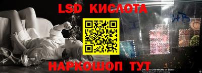 ALPHA PVP Новозыбков