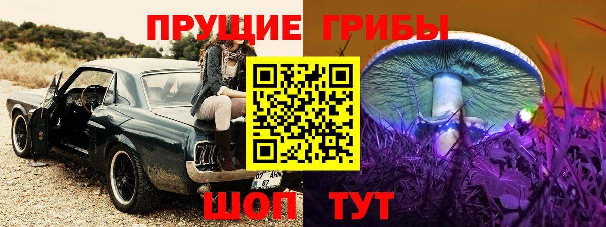 где можно купить наркотик  Вход с VPN  Псилоцибиновые грибы Psilocybine cubensis  Юрга  Галлюциногенные грибы прущие грибы 