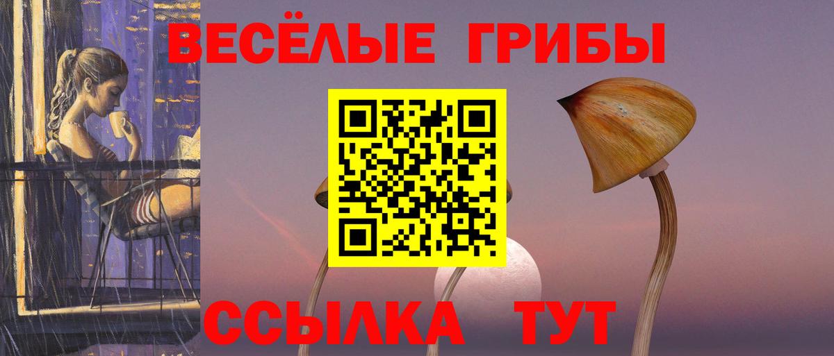 Псилоцибиновые грибы Psilocybine cubensis Юрга